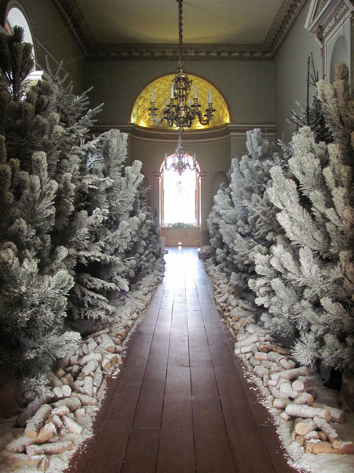 Indoor snow flocked Christmas trees by Snow Business