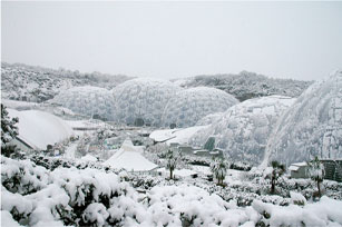 Eden product covered in snow