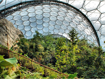 Inside the biomes at The Eden Project