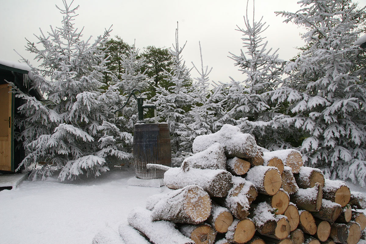 Fake snow display using recycled paper by Snow Business