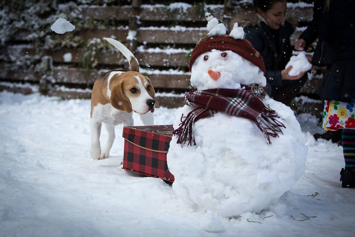 Real snow used by Snow Business for TK Maxx White Christmas Campaign
