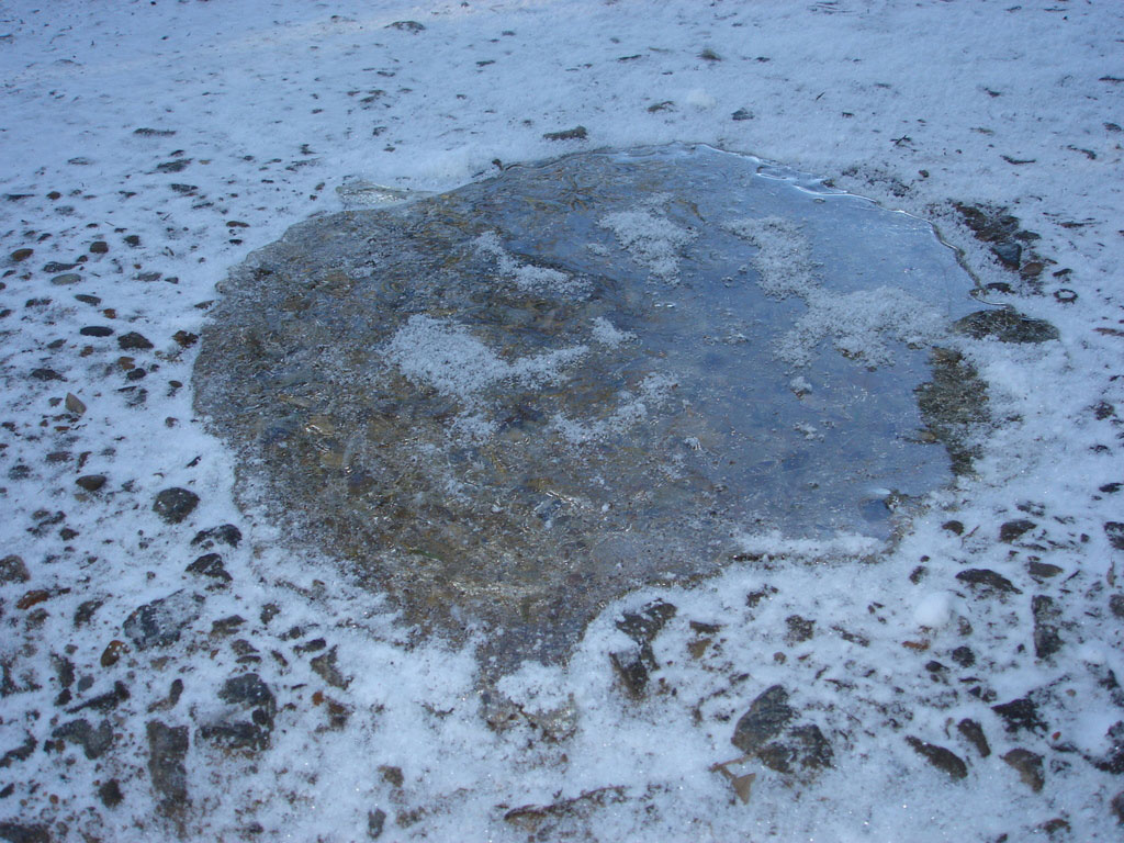 Ice puddle by Snow Business