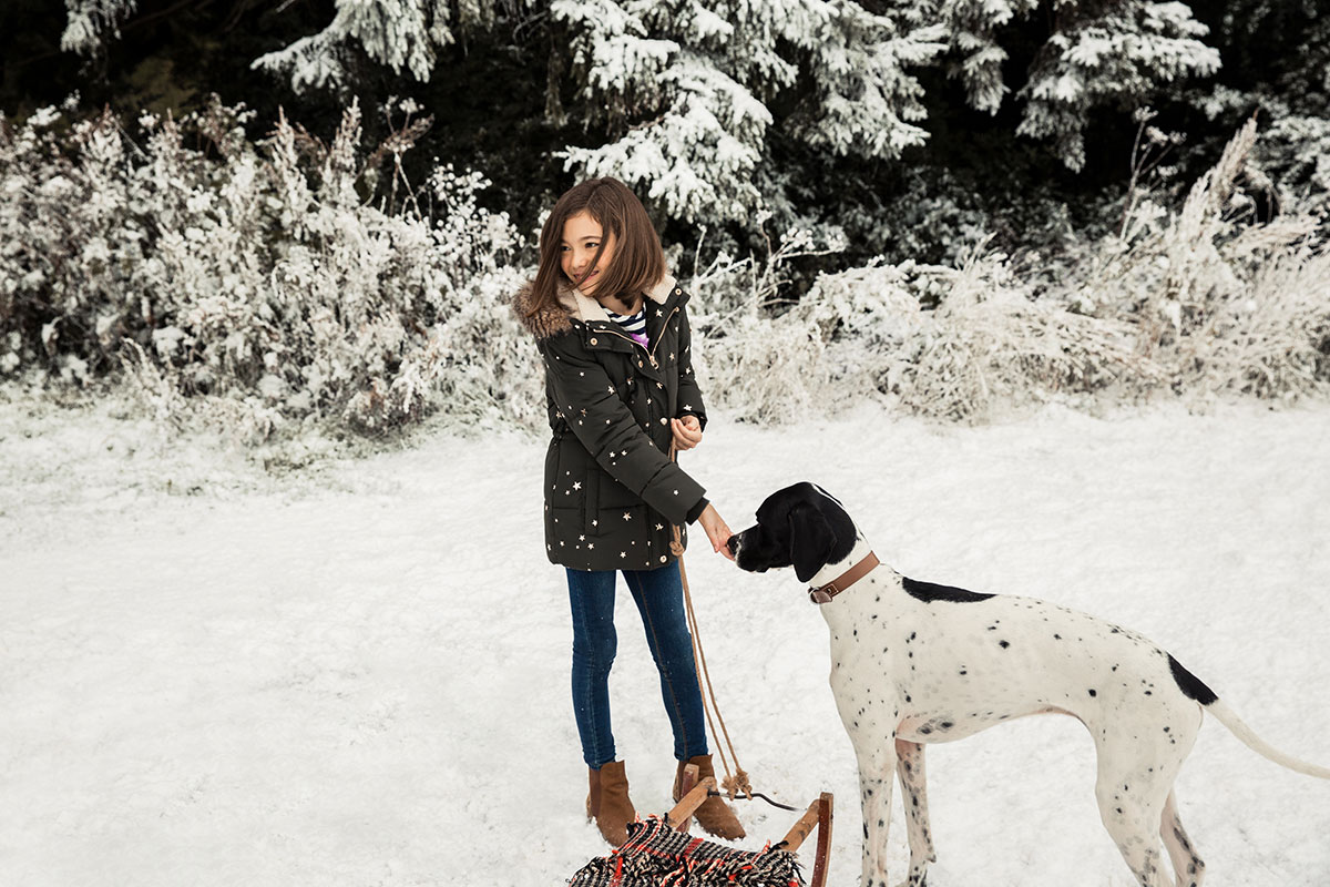 Snow scene created by Snow Business for Joules